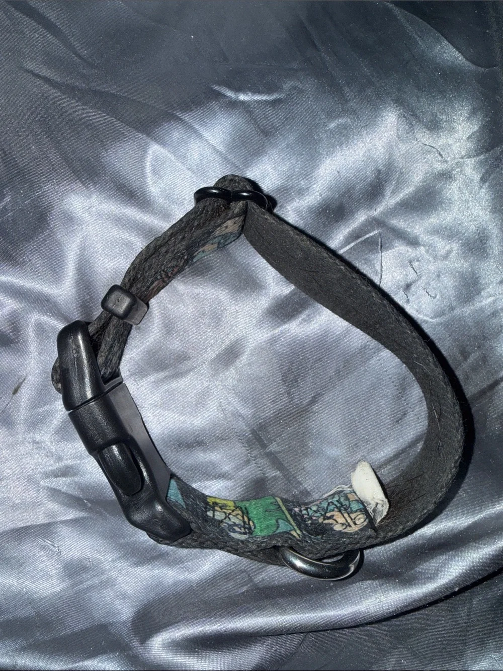Rocko’s Modern Life Dog Collar!!